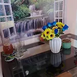 студио свежест *