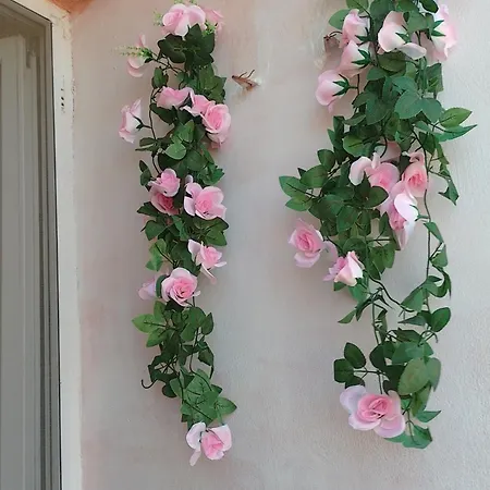 студио свежест * Πομόριε