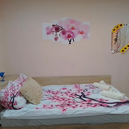 студио свежест Pomorie