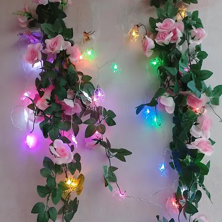 студио свежест Lägenhet Pomorie