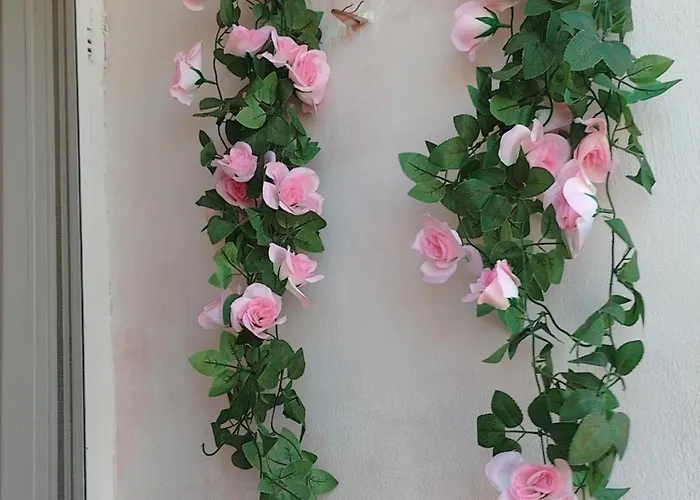 студио свежест * Πομόριε