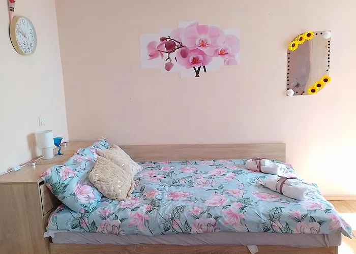 студио свежест