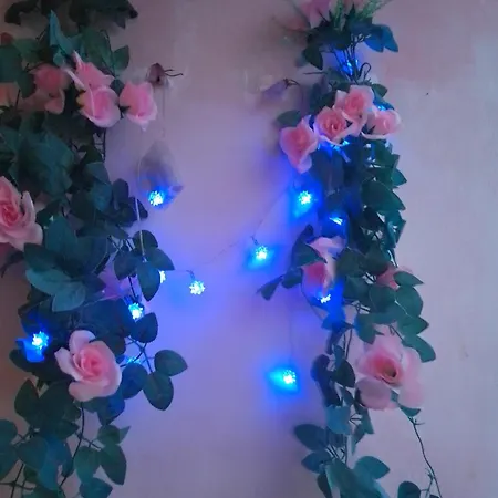 Appartement студио свежест